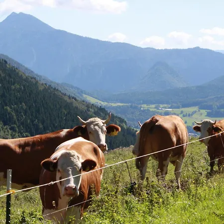 Διαμέρισμα Obersteinberg-hof Inkl. Chiemgaukarte Ruhpolding