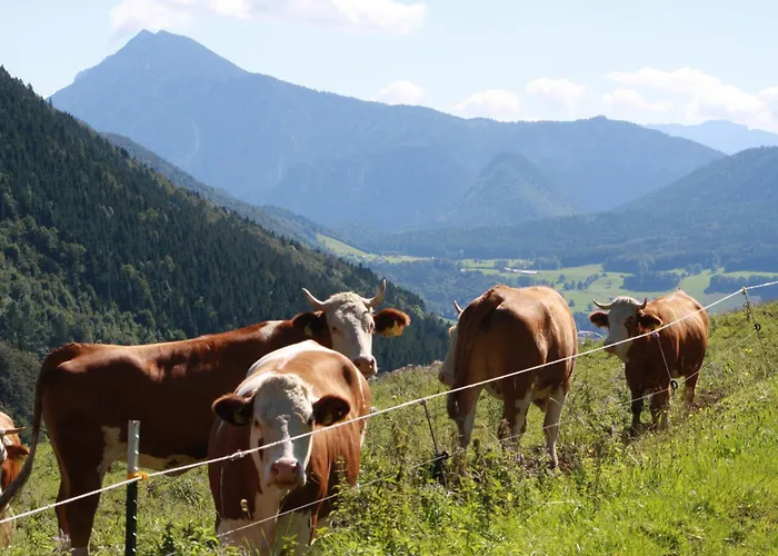 Lejlighed Obersteinberg-hof Inkl. Chiemgaukarte Ruhpolding